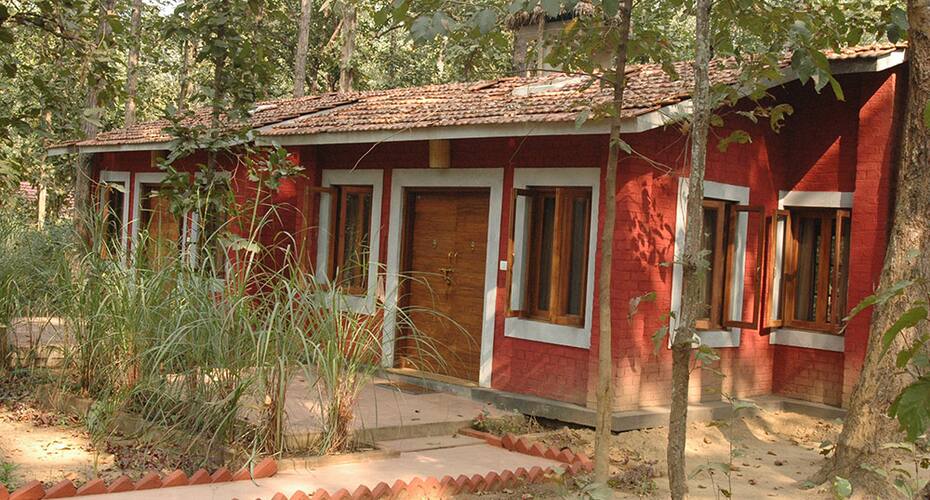 Kanha Jungle Lodge, Kanha 1